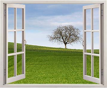 Windows